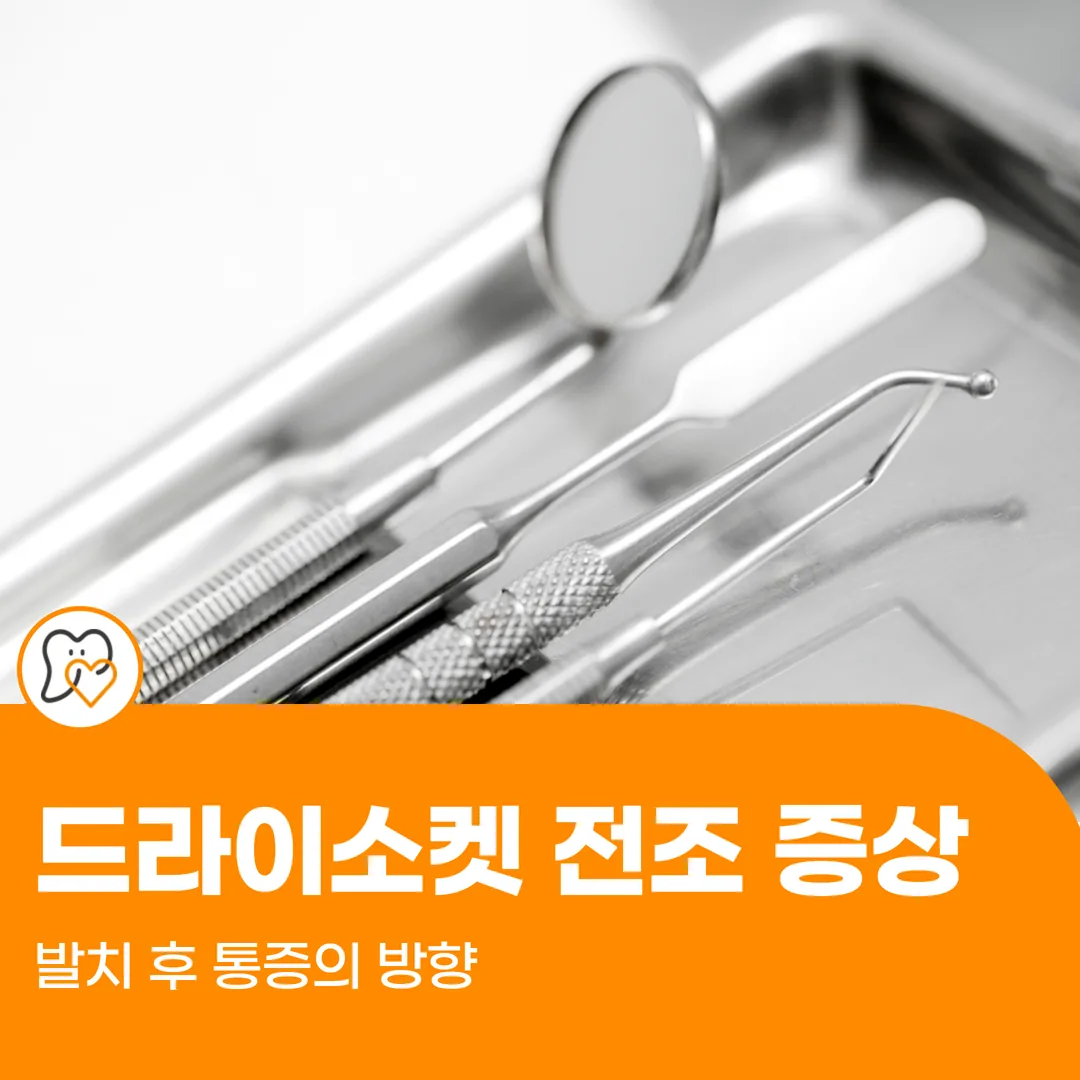 드라이소켓 전조 증상 — 발치 후 통증의 방향