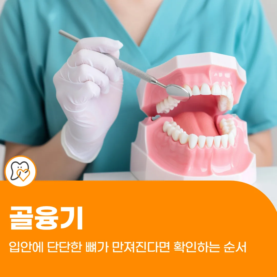 골융기 — 입안에 단단한 뼈가 만져진다면 확인하는 순서