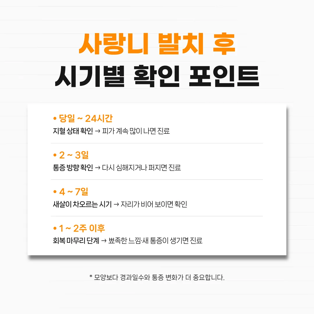 사랑니 발치 후 경과일수별 확인 항목 시간축