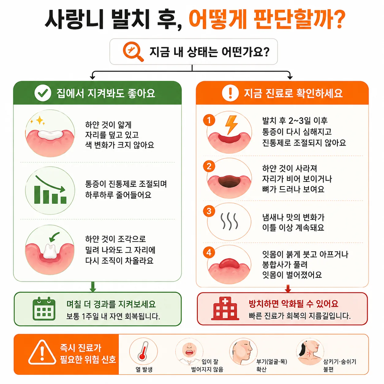 사랑니 발치 후 관찰과 내원을 가르는 판단 흐름도