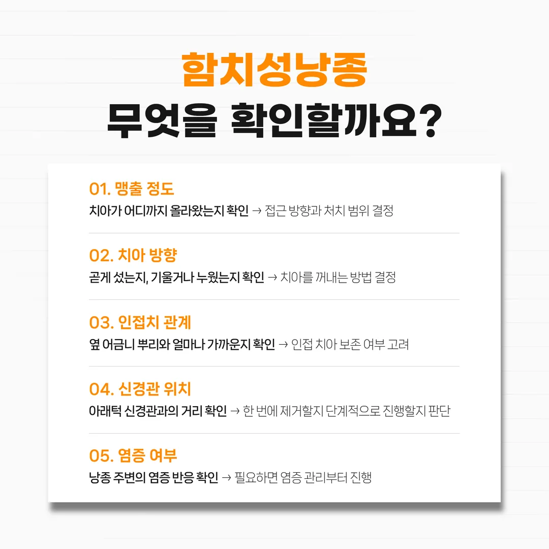 함치성낭종 진단에서 확인하는 맹출 정도·치아 방향·인접치·신경관·염증 다섯 항목 표시도