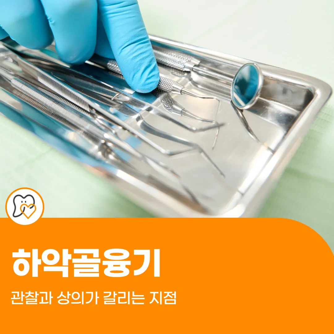 하악골융기 — 관찰과 상의가 갈리는 지점