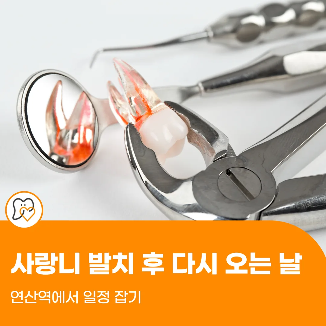 사랑니 발치 후 다시 오는 날 — 연산역에서 일정 잡기
