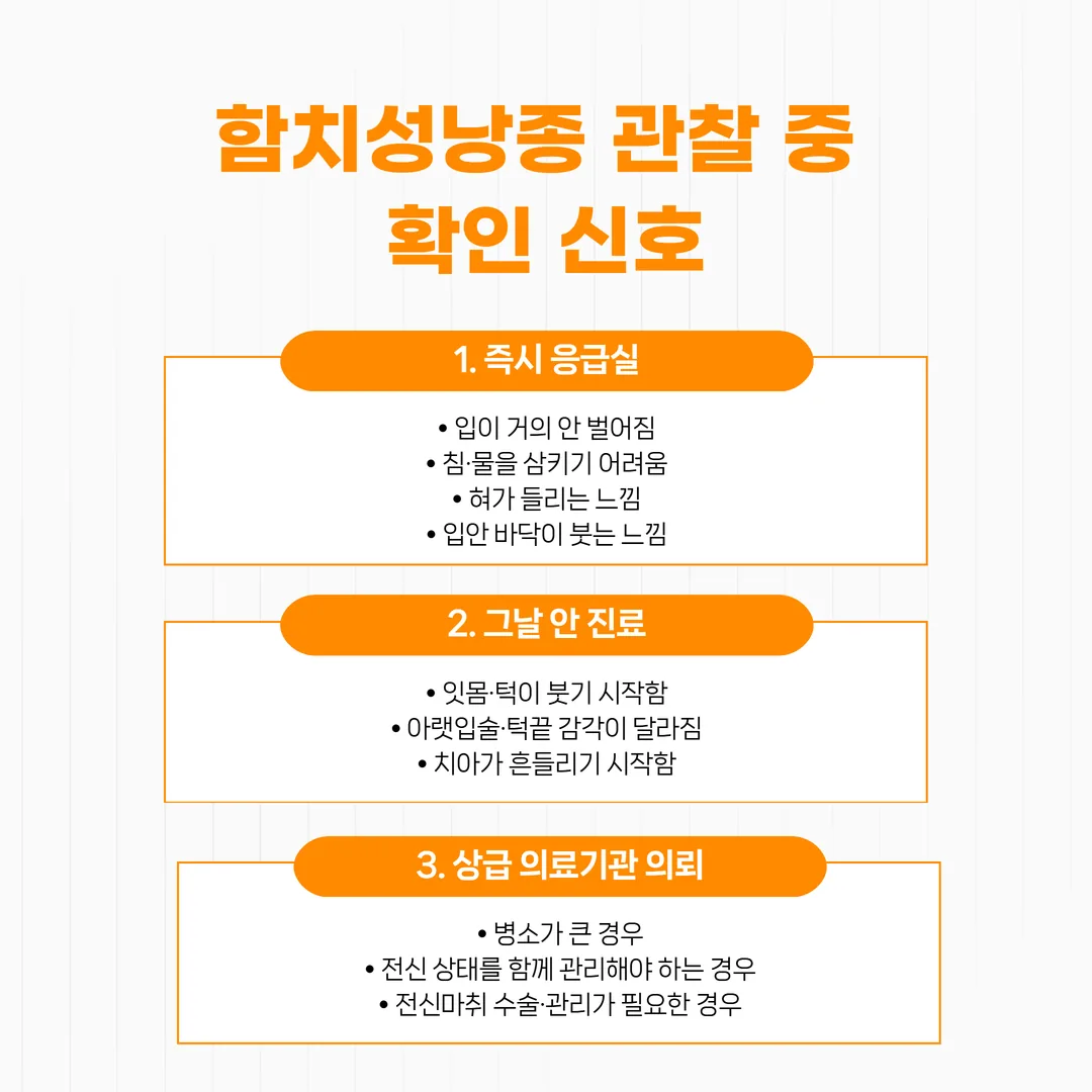 함치성낭종 관찰 중 확인 신호 긴급도 세 층 도식