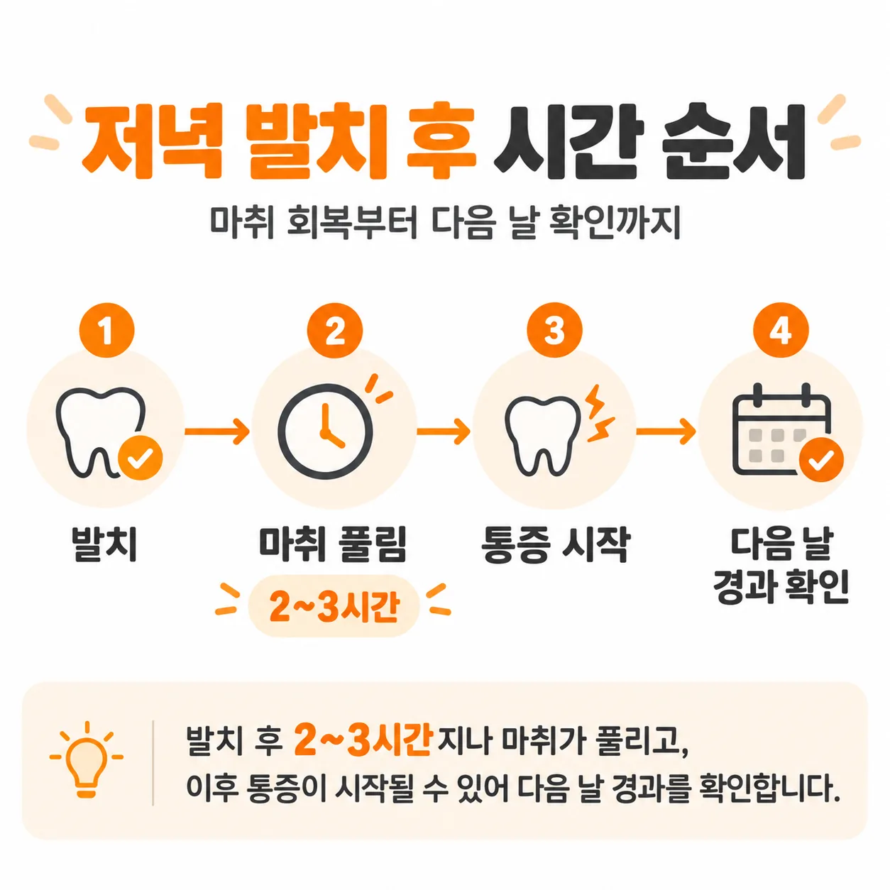 저녁 발치 후 마취 회복과 통증 시작, 다음 날 경과 확인까지의 시간 순서 타임라인
