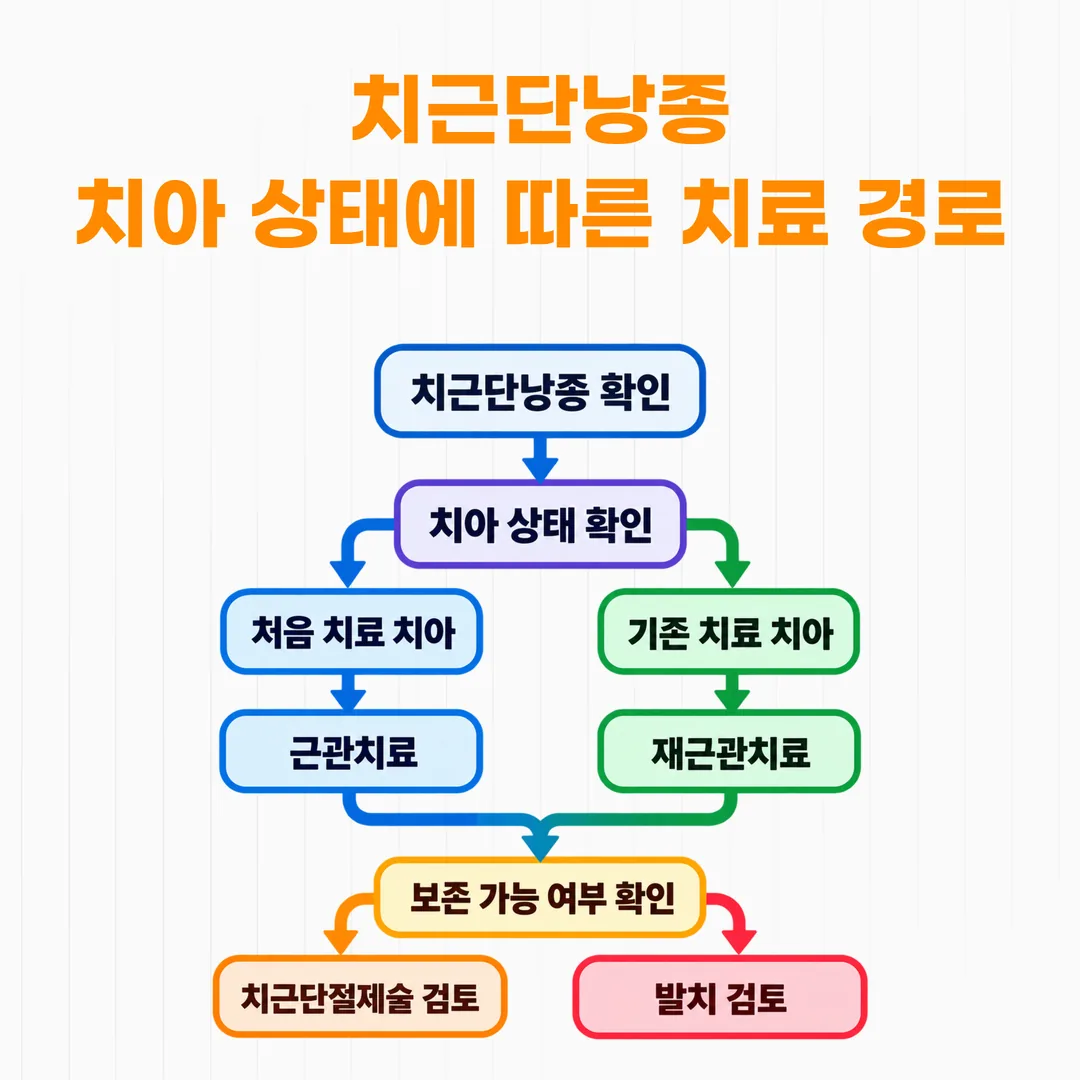 치근단낭종 치료 경로가 갈리는 흐름 개념도