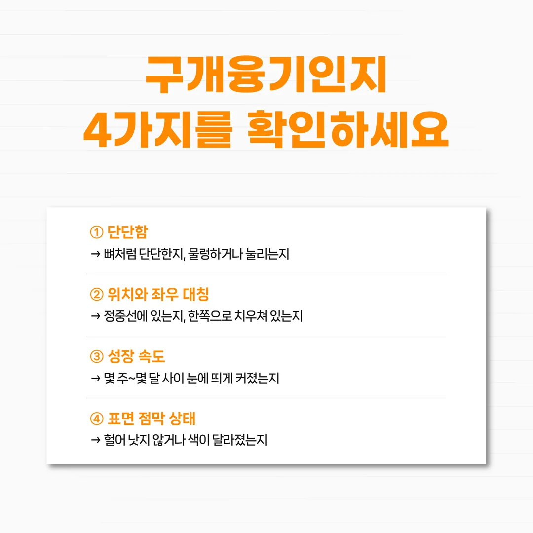 단단함과 좌우 대칭, 성장 속도, 표면 점막 상태로 구개융기와 다른 병변을 갈라 보는 확인 항목 표