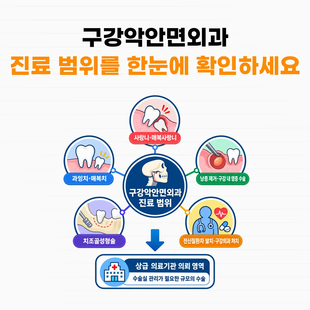 치과의원 구강악안면외과 진료 범위 다섯 갈래와 의뢰 영역 도식